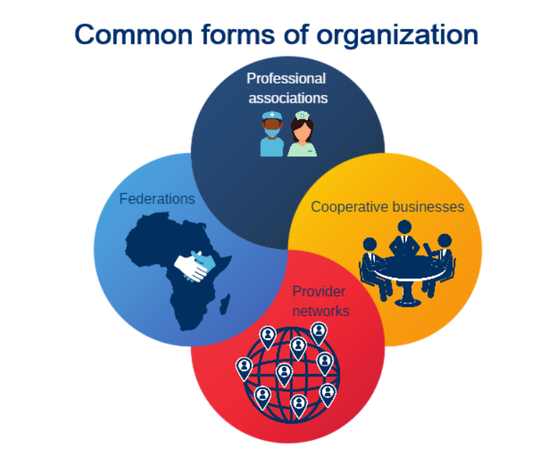 An infographic of common forms of organization: professional associations, federations, cooperative businesses, and provider networks.